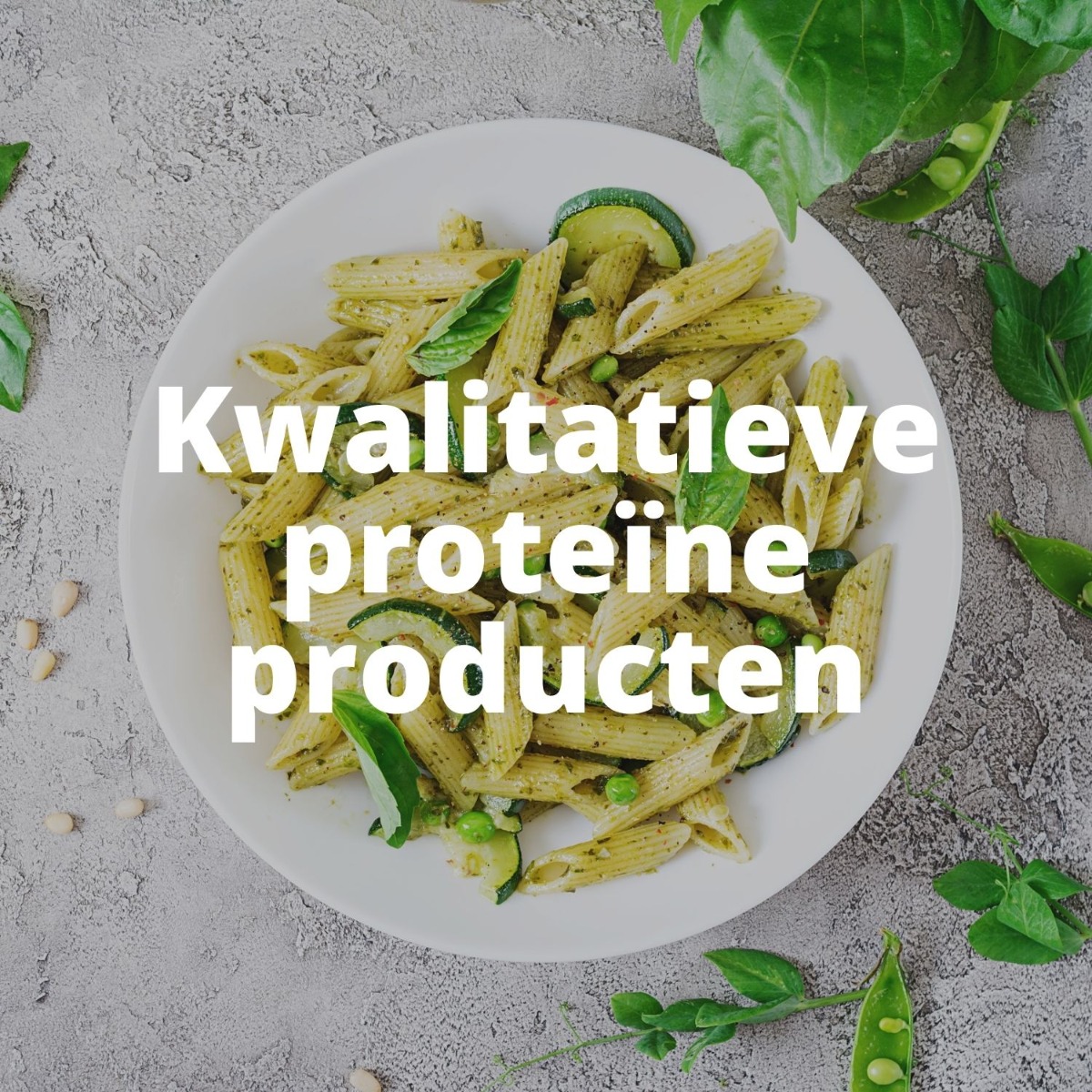 Kwalitatieve proteïne producten Proday